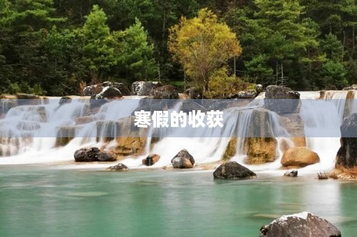 寒假的收获 寒假的收获