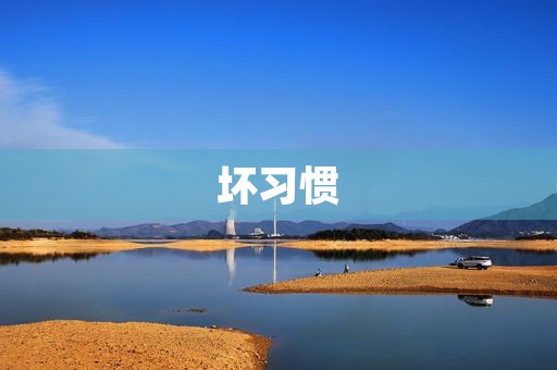 坏习惯 坏习惯