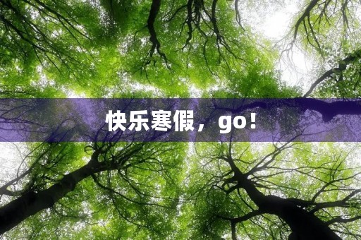 快乐寒假，go！