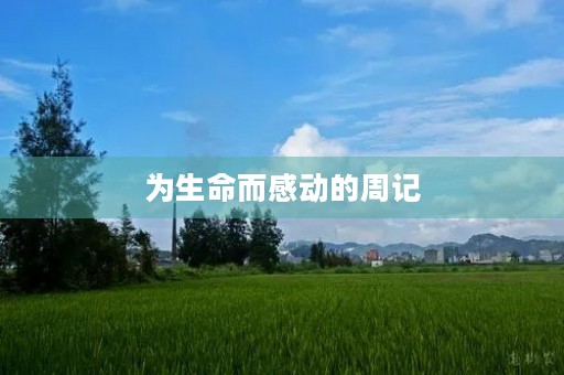 为生命而感动的周记