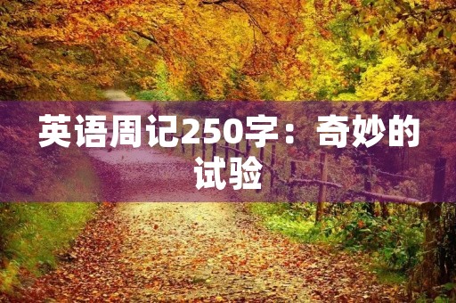 英语周记250字：奇妙的试验
