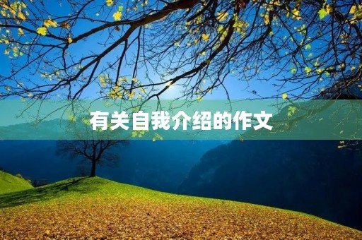 有关自我介绍的作文