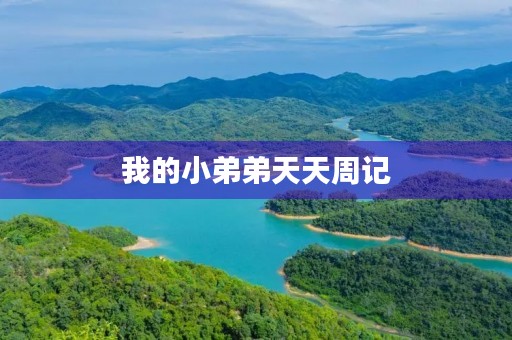 我的小弟弟天天周记 我的小弟弟天天周记