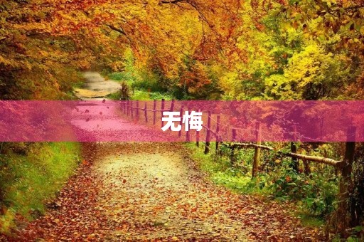 无悔 无悔