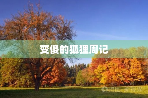 变傻的狐狸周记 变傻的狐狸周记