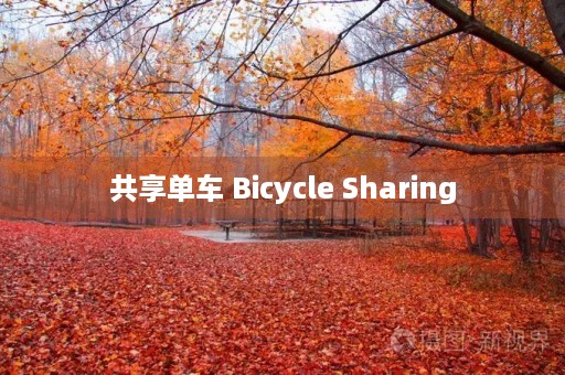 共享单车 Bicycle Sharing 共享单车 Bicycle Sharing