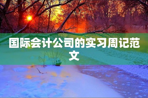 国际会计公司的实习周记范文 国际会计公司的实习周记范文