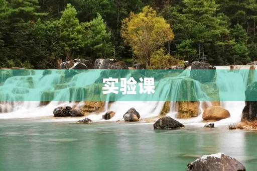 实验课