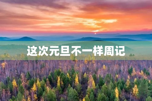 这次元旦不一样周记 这次元旦不一样周记