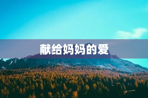 献给妈妈的爱 献给妈妈的爱