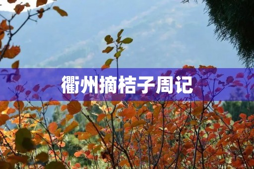 衢州摘桔子周记 衢州摘桔子周记