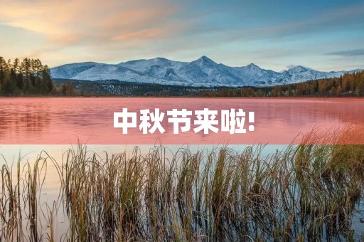 中秋节来啦!
