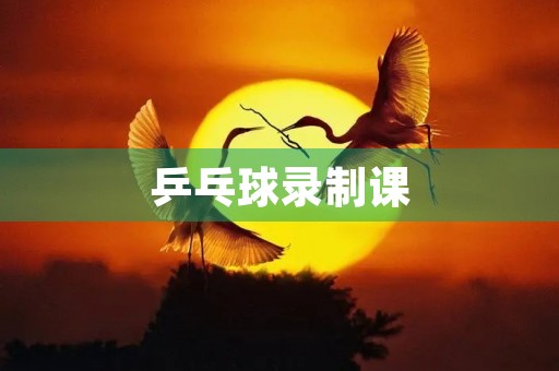 乒乓球录制课