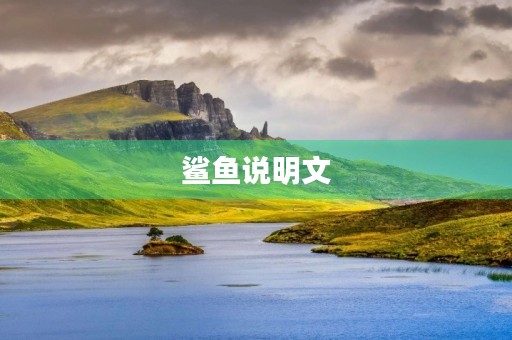 鲨鱼说明文