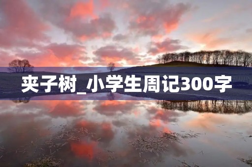 夹子树_小学生周记300字