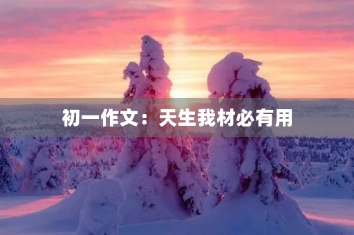 初一作文：天生我材必有用