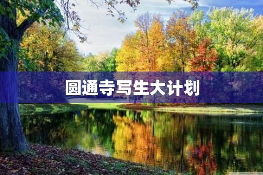 圆通寺写生大计划