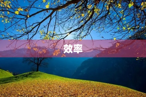 效率 效率