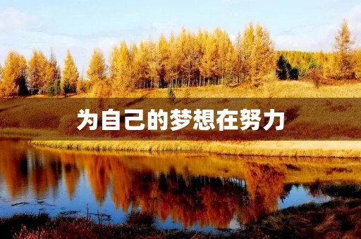 为自己的梦想在努力 为自己的梦想在努力