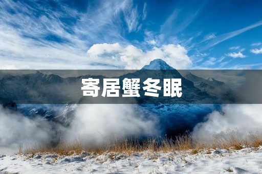 寄居蟹冬眠 寄居蟹冬眠