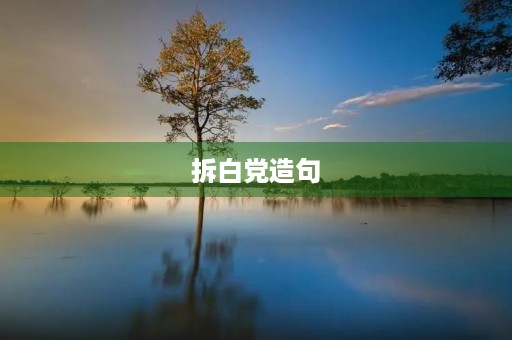 拆白党造句