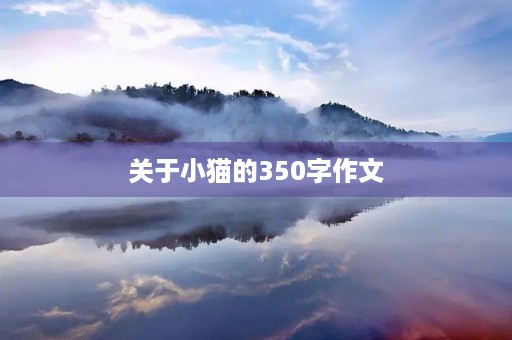 关于小猫的350字作文