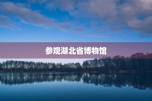 参观湖北省博物馆 参观湖北省博物馆