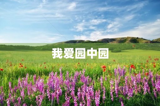 我爱园中园