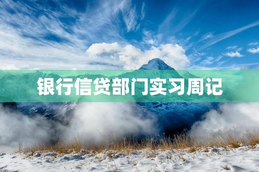银行信贷部门实习周记 银行信贷部门实习周记