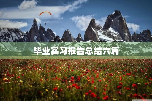 毕业实习报告总结六篇