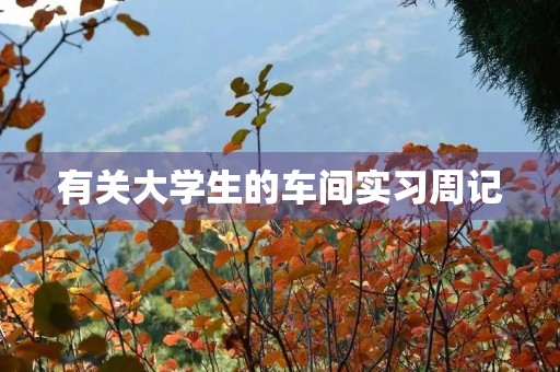 有关大学生的车间实习周记