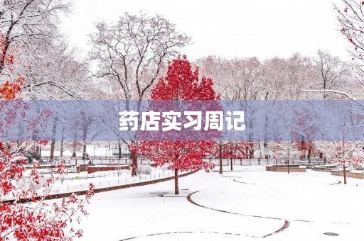 药店实习周记