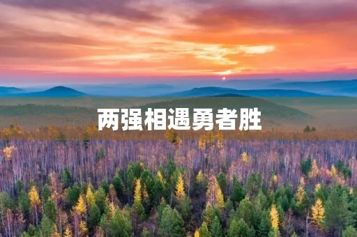 两强相遇勇者胜