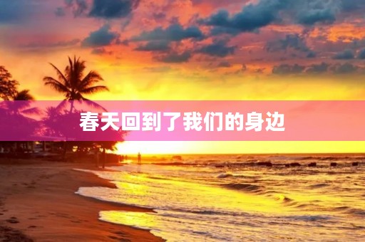 春天回到了我们的身边