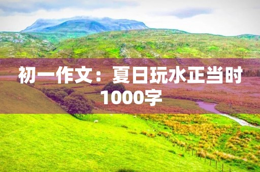 初一作文:夏日玩水正当时1000字 初一作文:夏日玩水正当时1000字