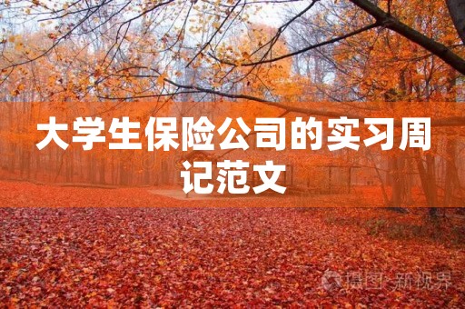 大学生保险公司的实习周记范文 大学生保险公司的实习周记范文
