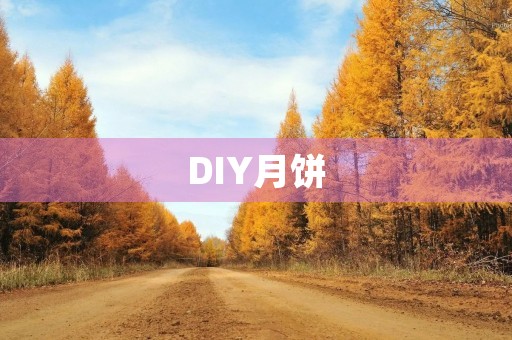 DIY月饼 DIY月饼