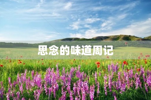 思念的味道周记