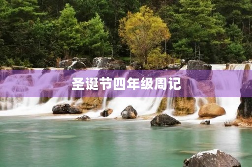 圣诞节四年级周记 圣诞节四年级周记