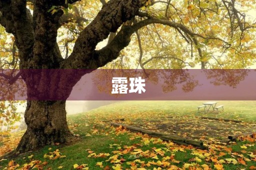 露珠 露珠