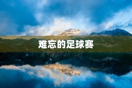 难忘的足球赛 难忘的足球赛