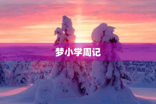 梦小学周记