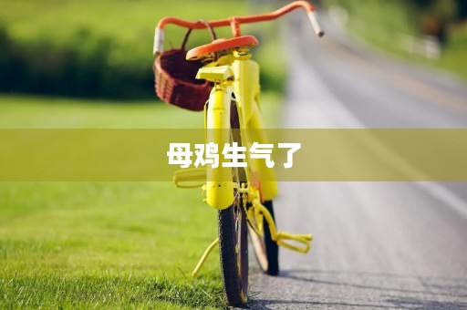 母鸡生气了 母鸡生气了