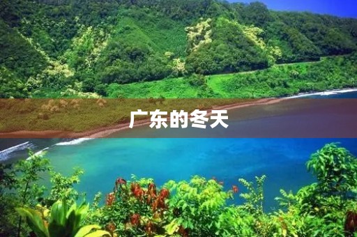 广东的冬天 广东的冬天