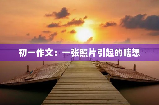 初一作文：一张照片引起的瞎想