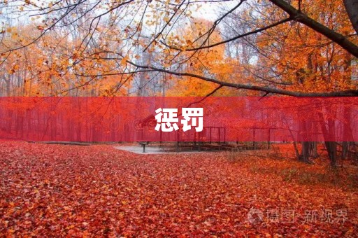 惩罚
