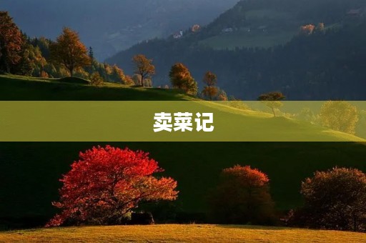 卖菜记 卖菜记