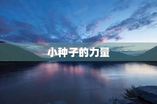 小种子的力量