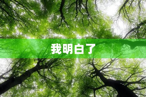 我明白了 我明白了