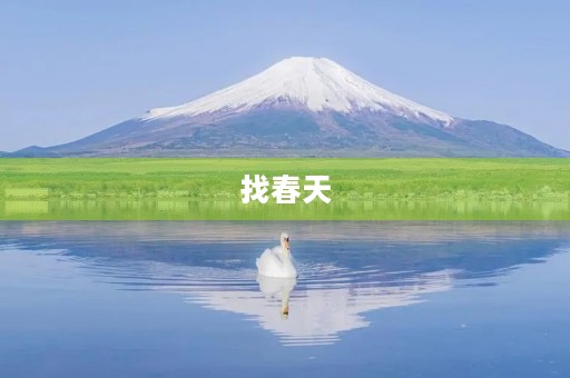 找春天 找春天